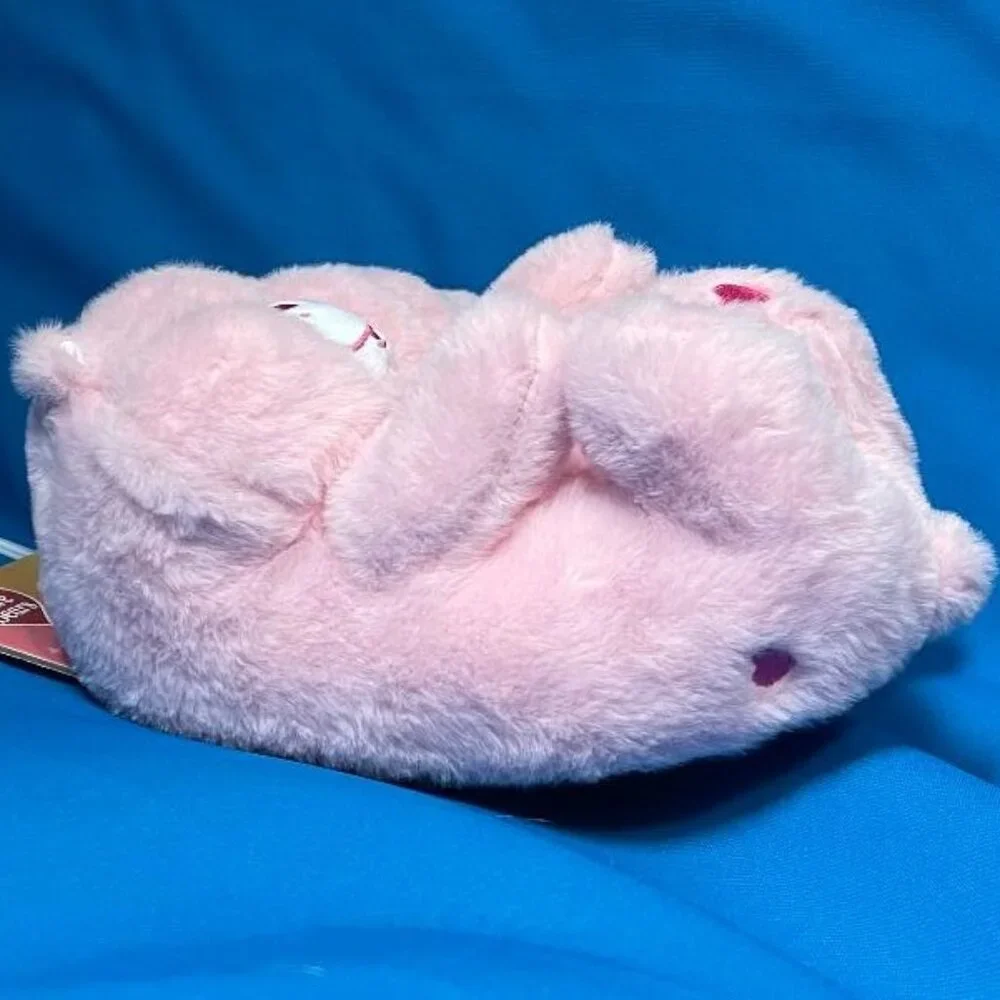 NWT & GREAT GIFT  ADORABLE CARE BEARS KIDS SLIPPERS SIZE XL 4 - 5 PINK ( CHEER )